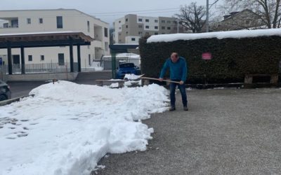 Les fous de la pétanque.